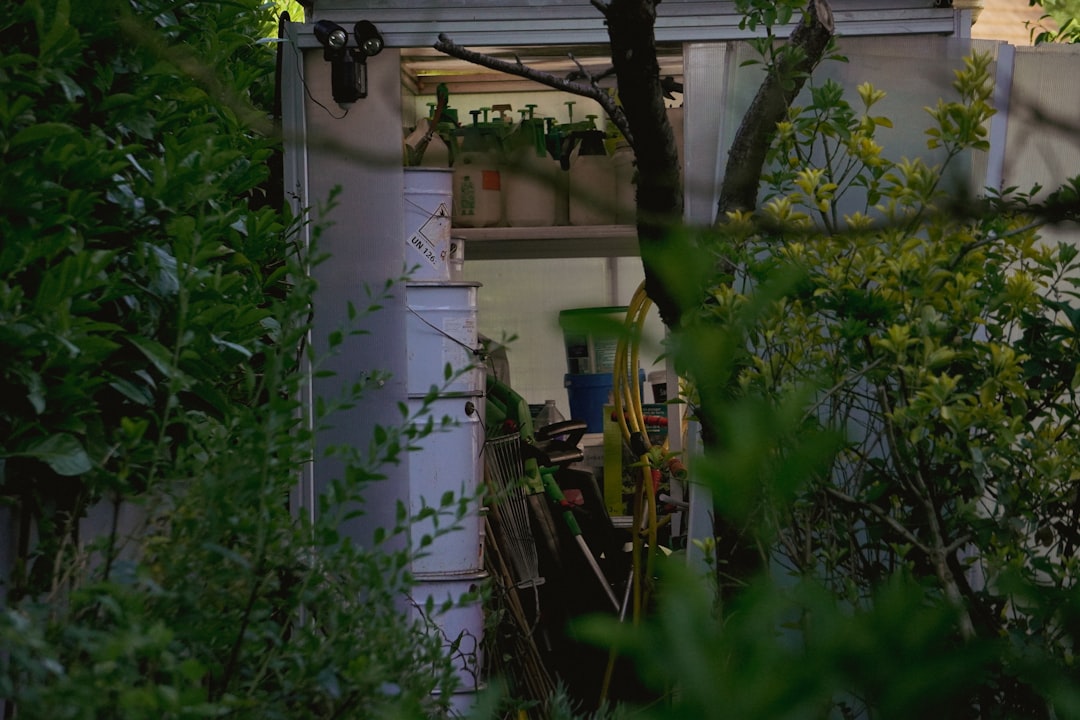 view-through-greenery-of-an-open-doorway-sxzc2mqtxgk